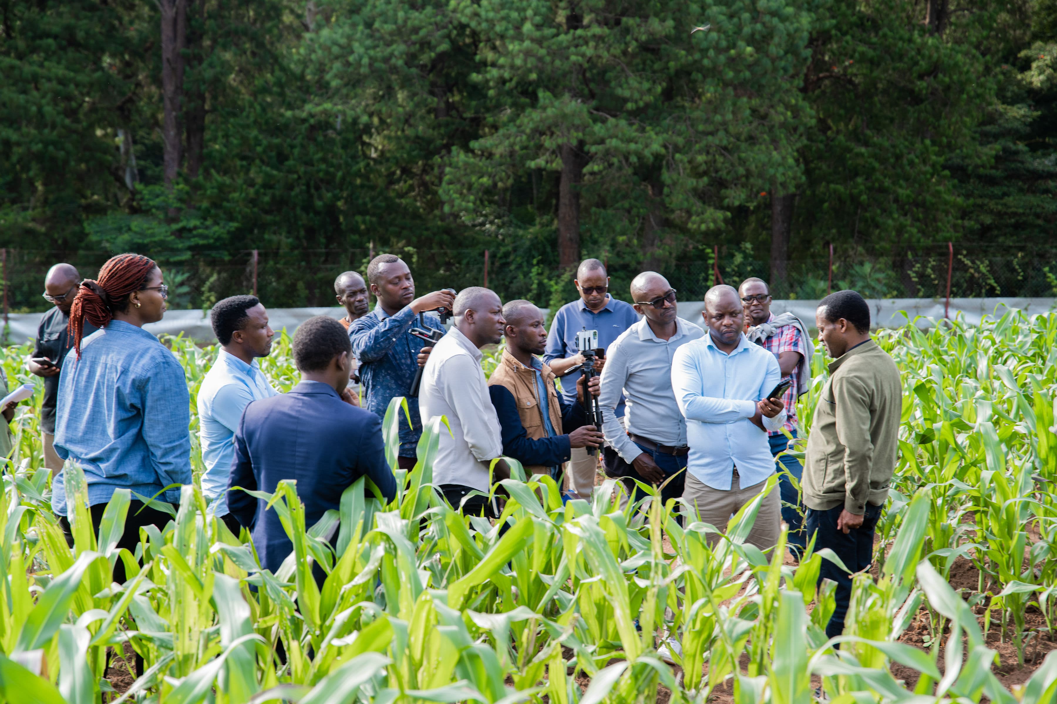 Huye confined field trial maize